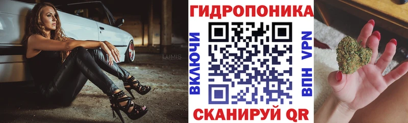 ГАШИШ Новотроицк