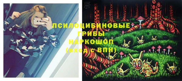 бошки Богородск