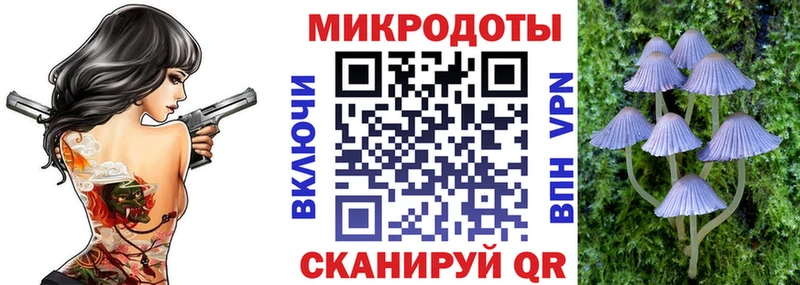 Псилоцибиновые грибы Psilocybine cubensis  Купить  Новотроицк 